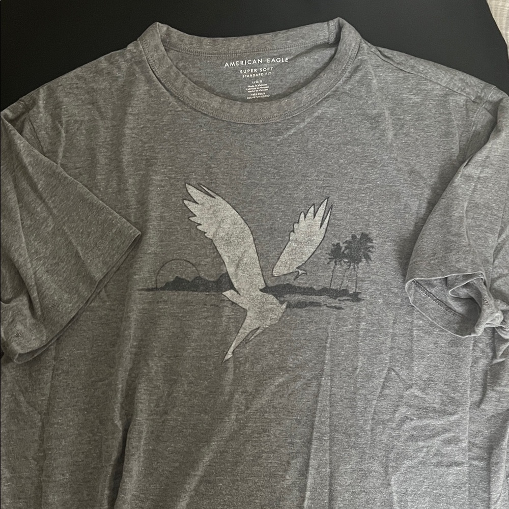American Eagle Outfitters Charcoal Graphic Tee